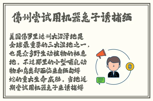 outrapay中老年人妇女